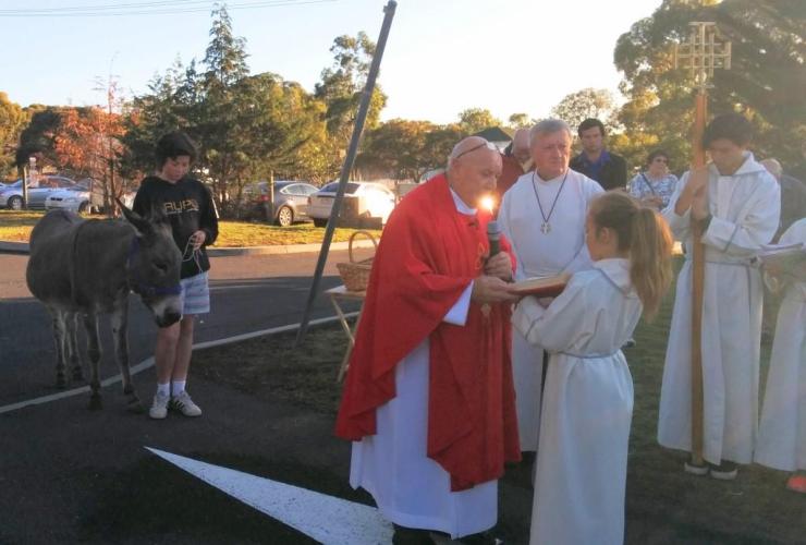 Fr Bert Palm Sunday 2016