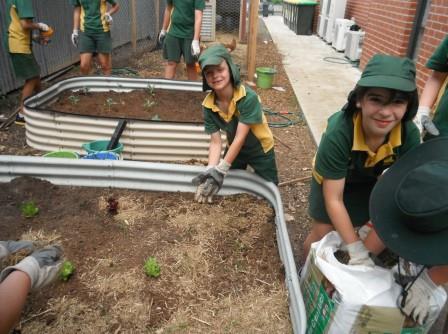 OLMC Gardeners